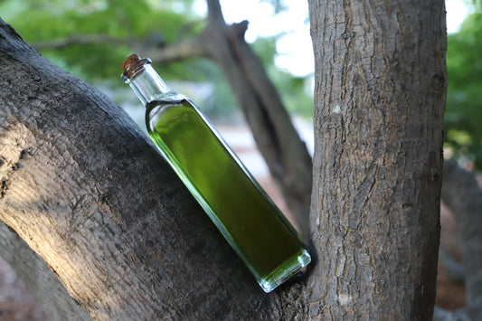 Into the Mystic body oil