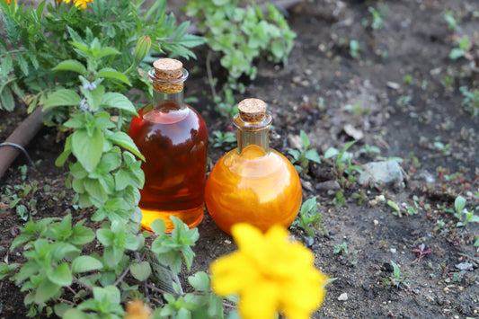 From the Sun body oil