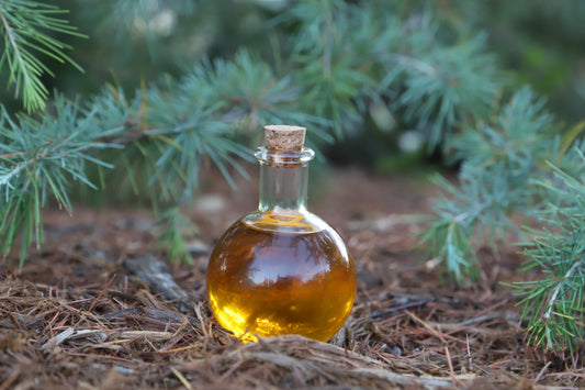 Sacred Forest body oil